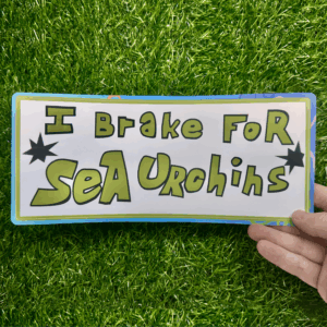 "I Brake For Sea Urchins" ~ Bumper Sticker
